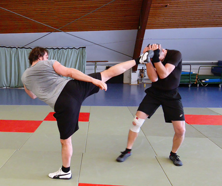 Why Train High Kicks?